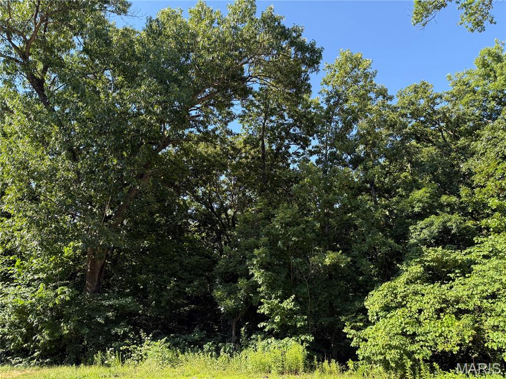 10 Big Tom Court Property Photo 1