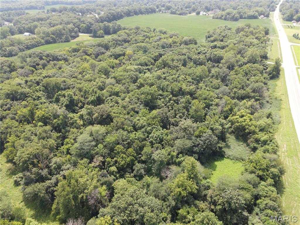 1454 Scott Troy Road Property Photo 6