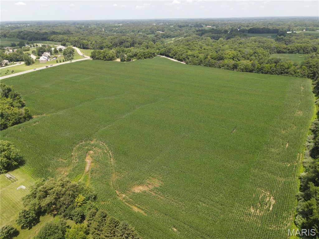 1454 Scott Troy Road Property Photo 10
