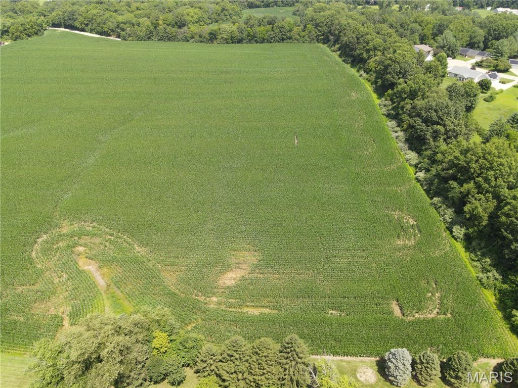 1454 Scott Troy Road Property Photo 11