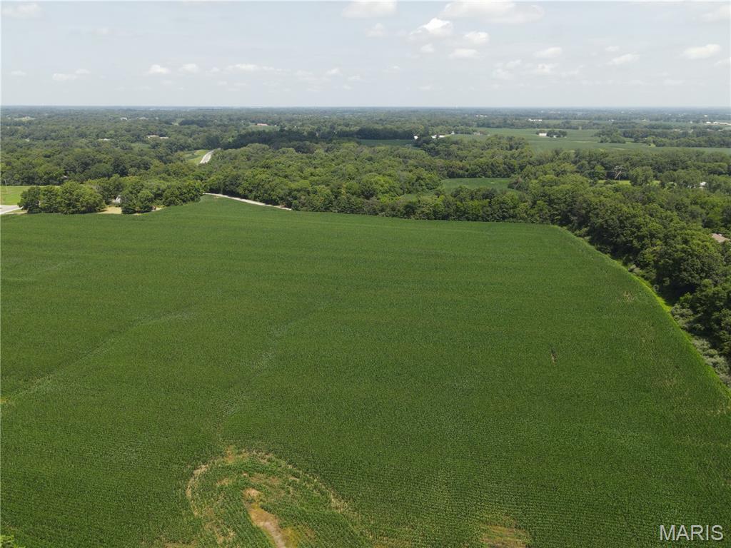 1454 Scott Troy Road Property Photo 13