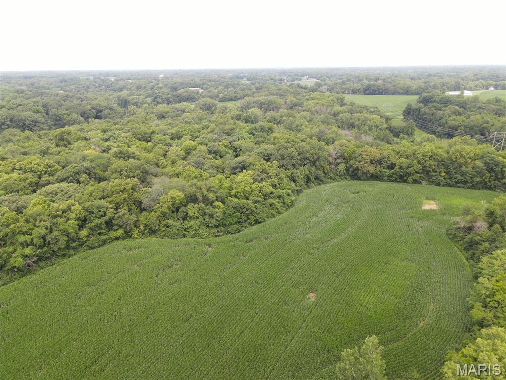 1454 Scott Troy Road Property Photo 38