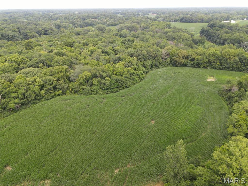 1454 Scott Troy Road Property Photo 39