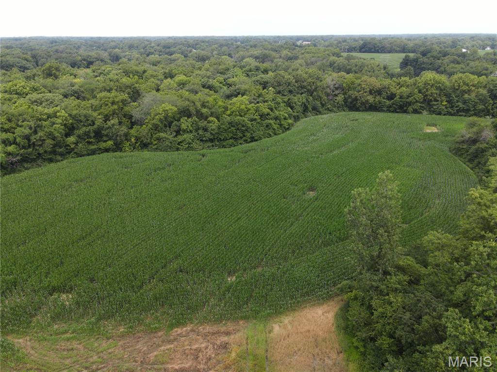 1454 Scott Troy Road Property Photo 40