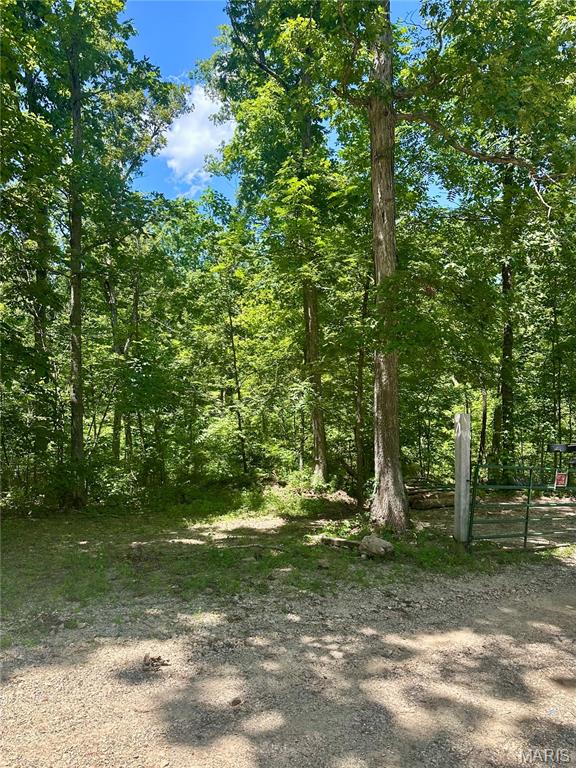 2518 N Bend Loop Property Photo 3