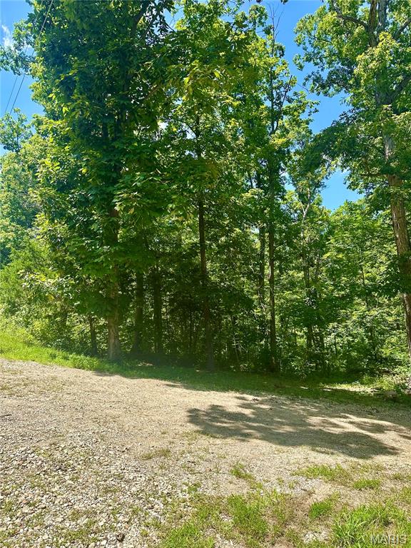 2518 N Bend Loop Property Photo 4