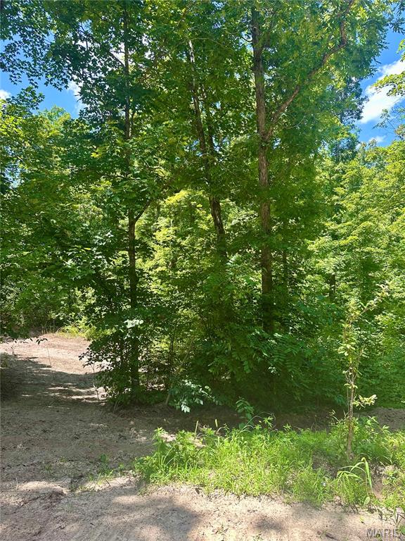 2518 N Bend Loop Property Photo 5