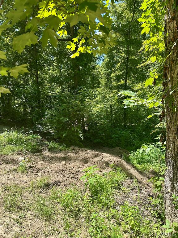 2518 N Bend Loop Property Photo 7