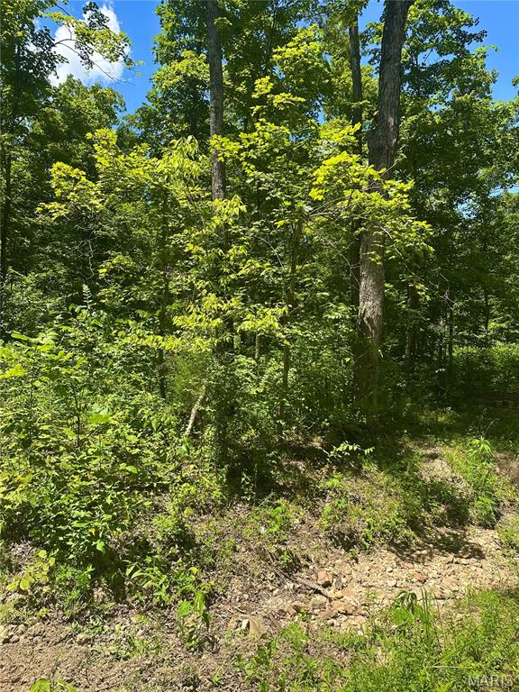 2518 N Bend Loop Property Photo 8
