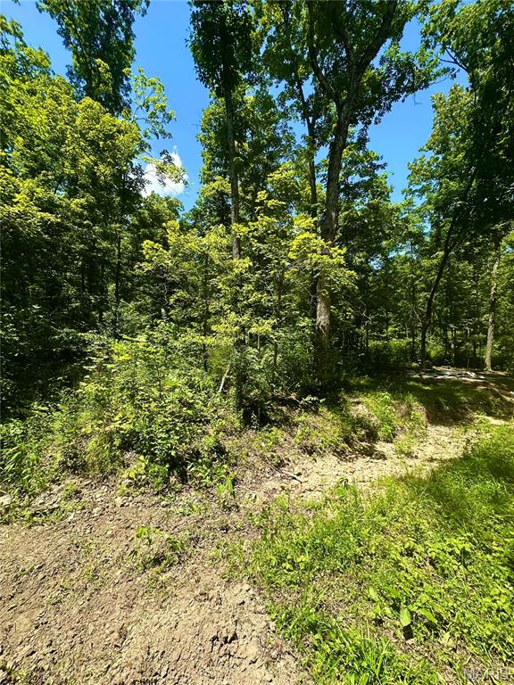 2518 N Bend Loop Property Photo 9