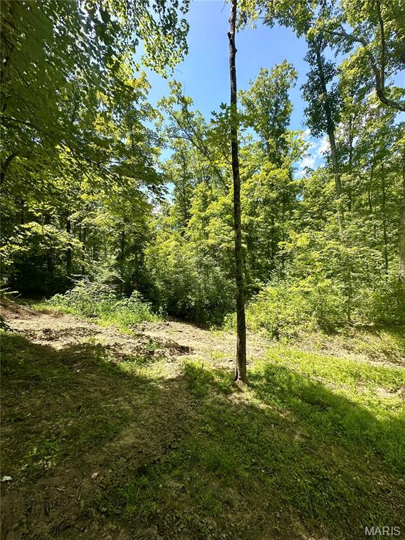 2518 N Bend Loop Property Photo 10