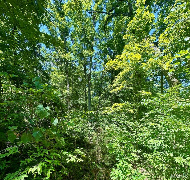 2518 N Bend Loop Property Photo 11