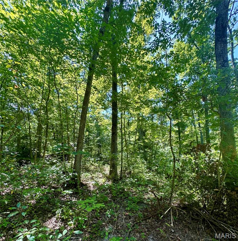 2518 N Bend Loop Property Photo 12