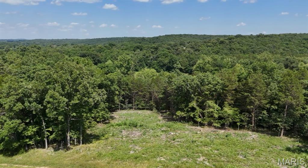 8 Tanglefoot Farms Road Property Photo 2