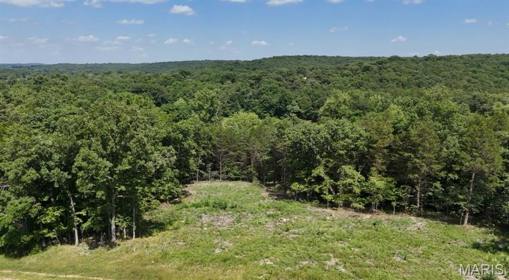 8 Tanglefoot Farms Road Property Photo 3