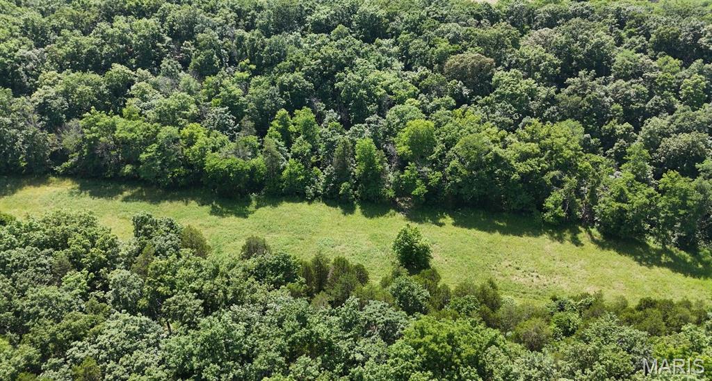 12 Tanglefoot Farms Road Property Photo 1