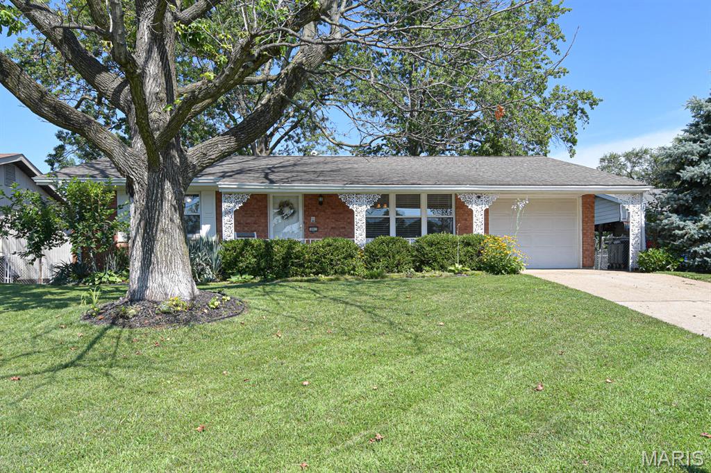 10923 Suanis Court Property Photo 1
