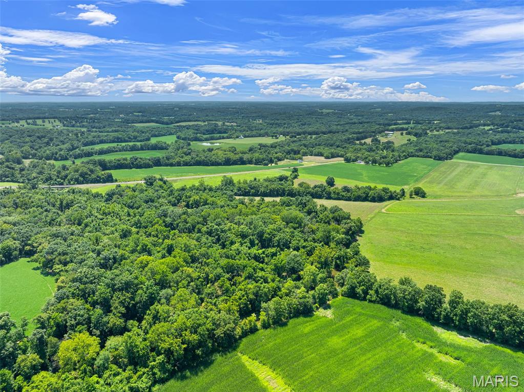 (57.40+/-ac) Tract #1 Highway 100 Property Photo 2
