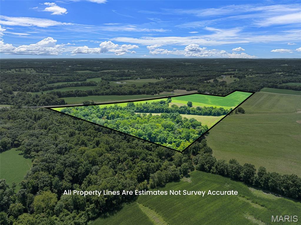 (57.40+/-ac) Tract #1 Highway 100 Property Photo 3