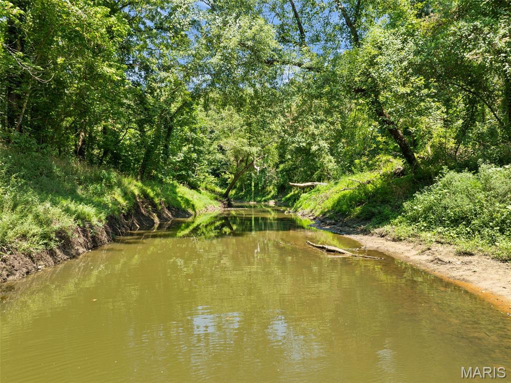(57.40+/-ac) Tract #1 Highway 100 Property Photo 4