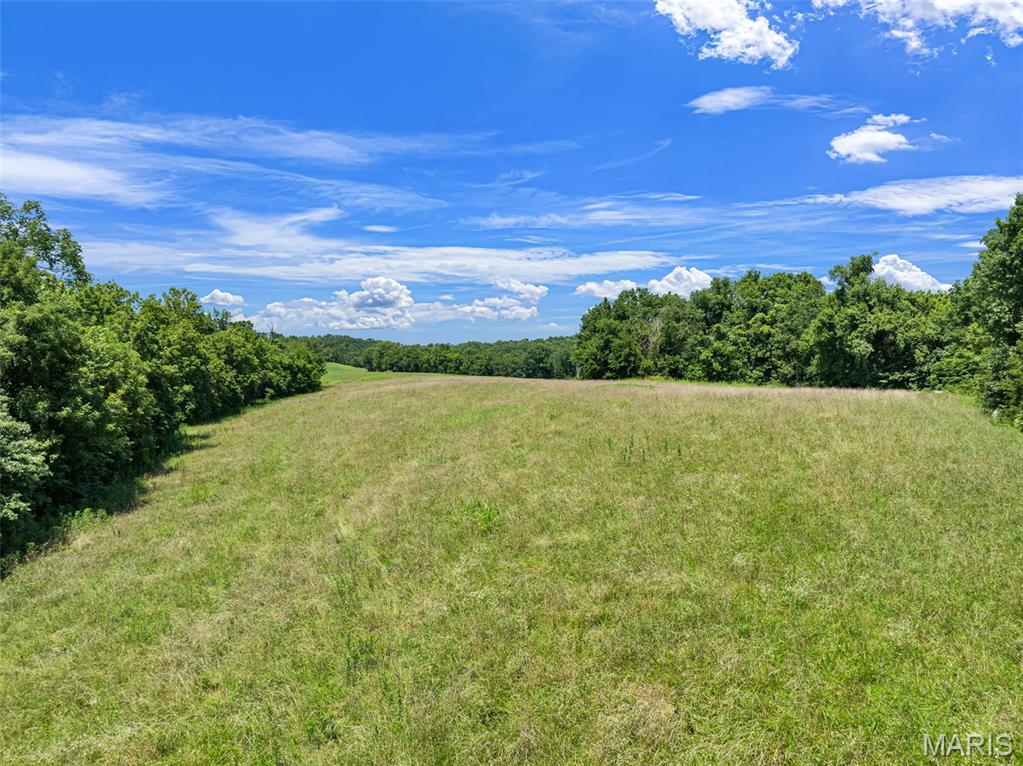 (57.40+/-ac) Tract #1 Highway 100 Property Photo 7