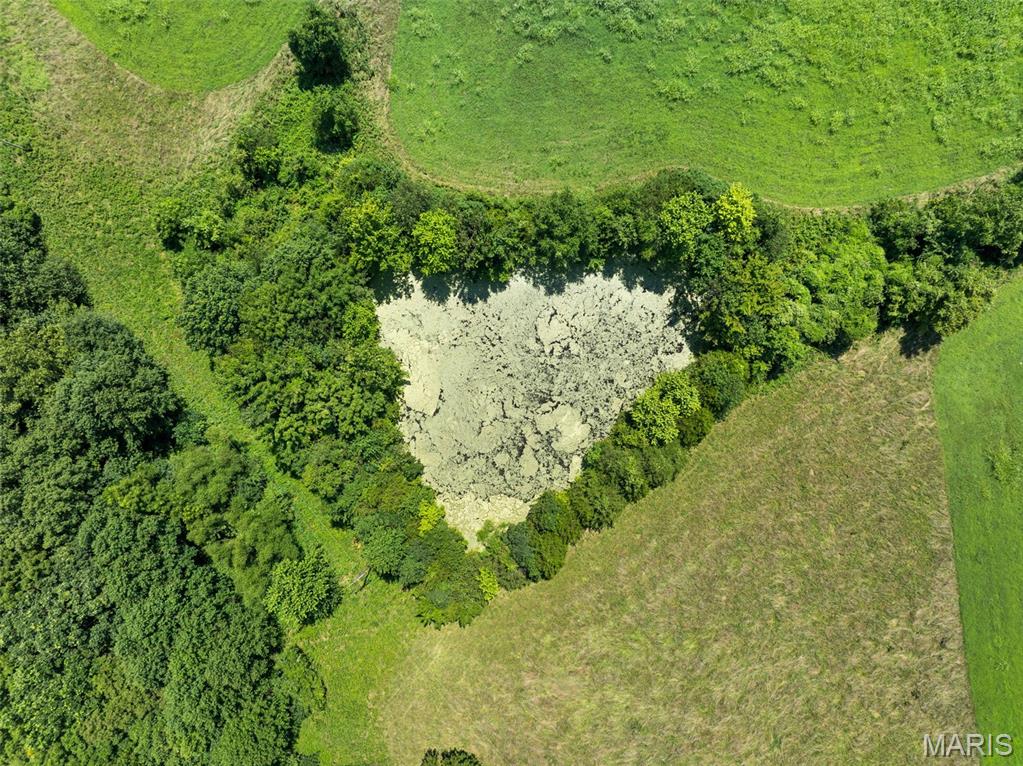 (57.40+/-ac) Tract #1 Highway 100 Property Photo 10