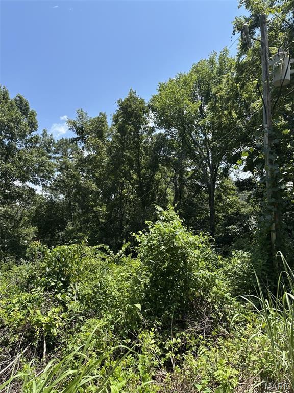 Plat 9 Lot 15, 19 And 22 Deer Run Property Photo 1