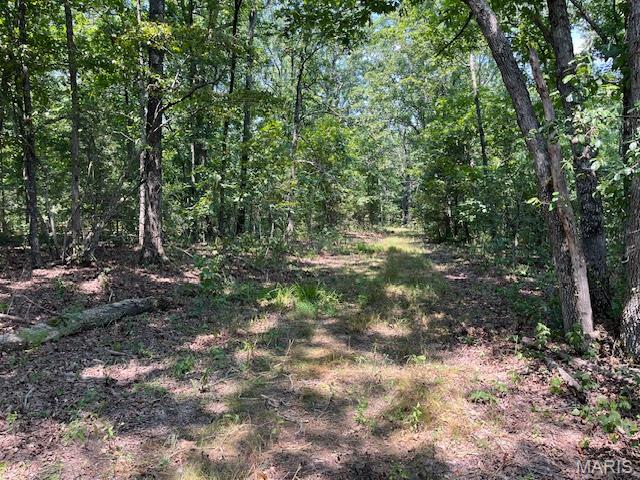 30 Acres Elk Head Road Property Photo 1