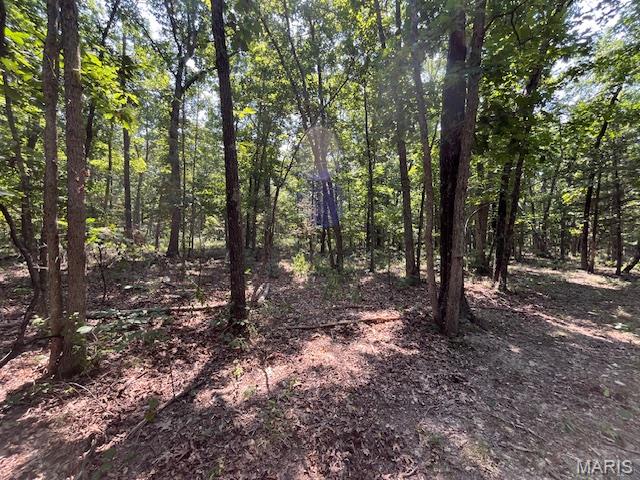 30 Acres Elk Head Road Property Photo 3