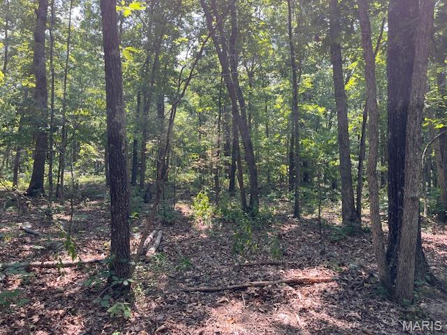 30 Acres Elk Head Road Property Photo 4