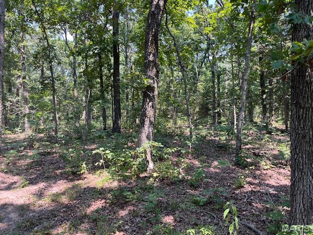 30 Acres Elk Head Road Property Photo 6
