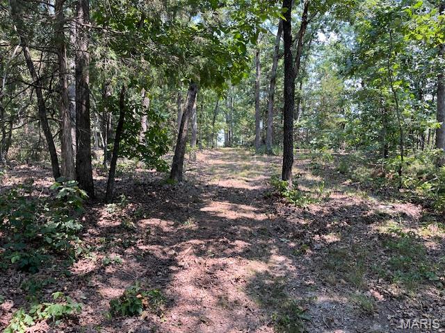 30 Acres Elk Head Road Property Photo 7