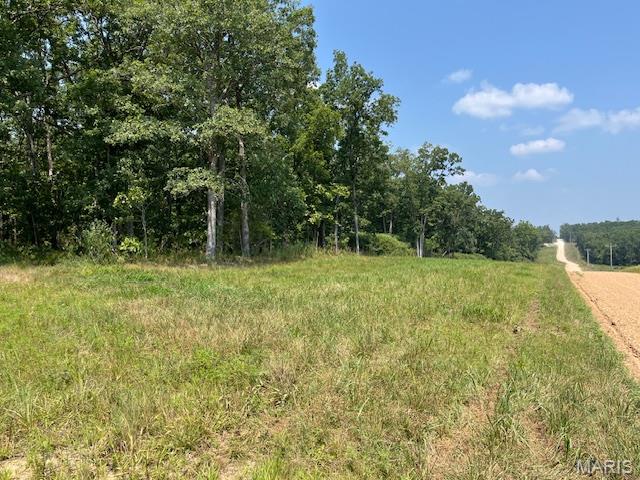 30 Acres Elk Head Road Property Photo 9
