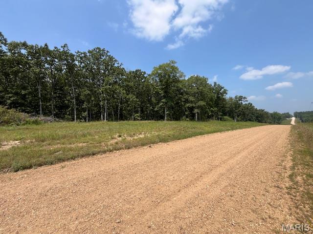 30 Acres Elk Head Road Property Photo 11