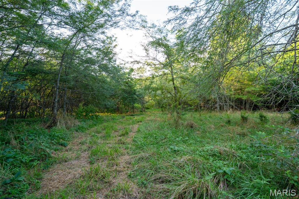 0 S Mine La Motte Ave Property Photo 7
