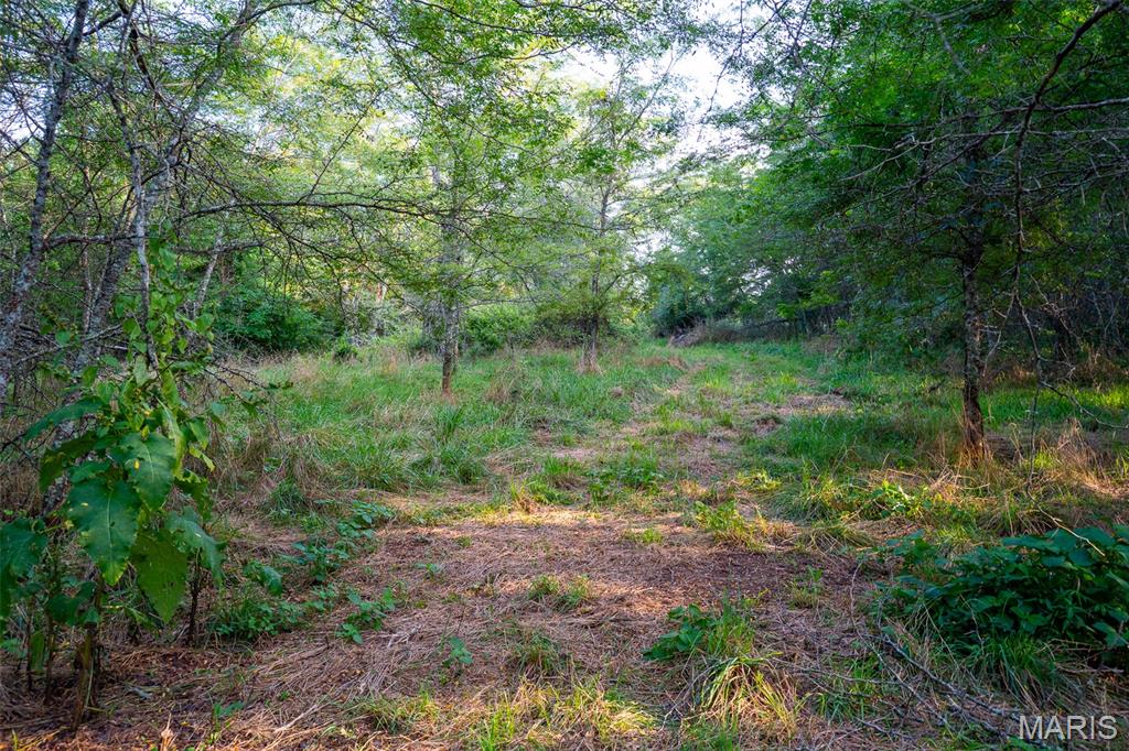 0 S Mine La Motte Ave Property Photo 11