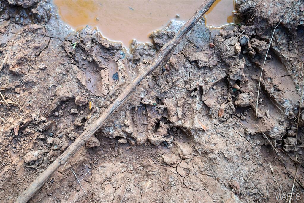 0 S Mine La Motte Ave Property Photo 17