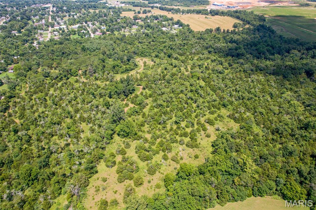 0 S Mine La Motte Ave Property Photo 20
