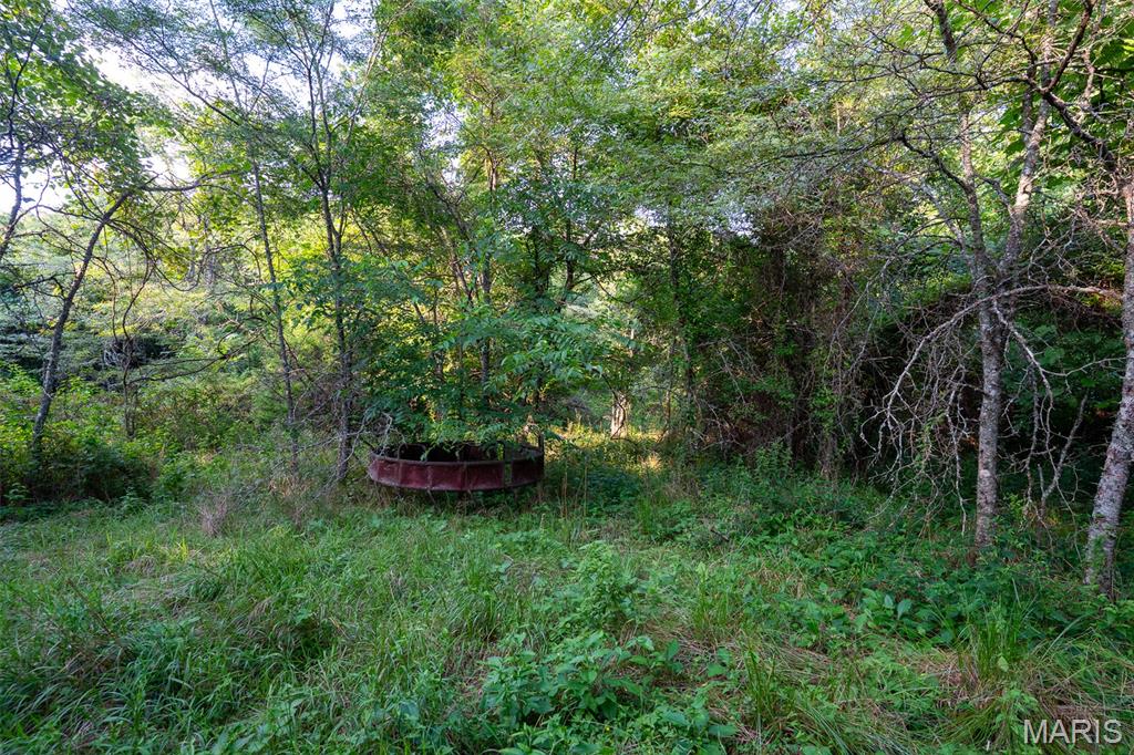 0 S Mine La Motte Ave Property Photo 24