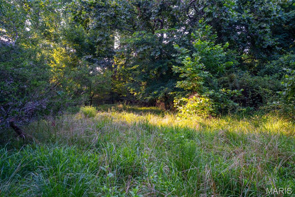 0 S Mine La Motte Ave Property Photo 25