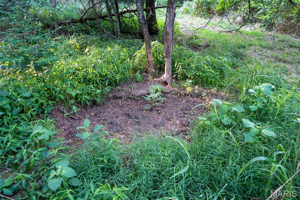 0 S Mine La Motte Ave Property Photo 26