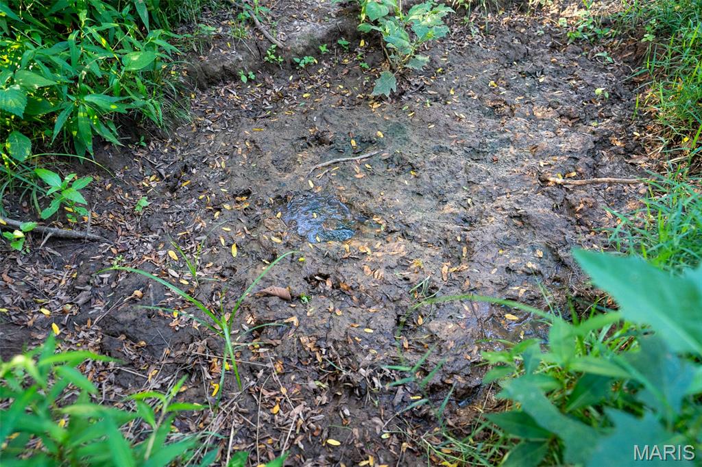 0 S Mine La Motte Ave Property Photo 27