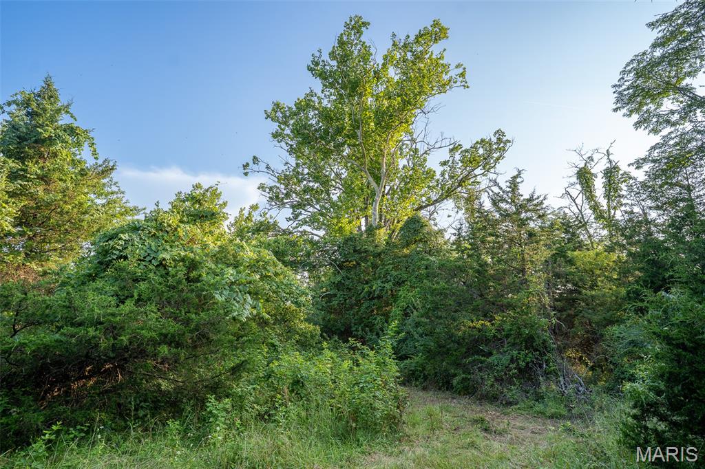 0 S Mine La Motte Ave Property Photo 31
