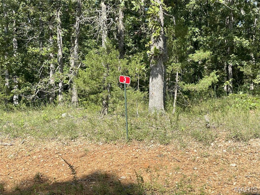 Tbd Forest View Property Photo 2