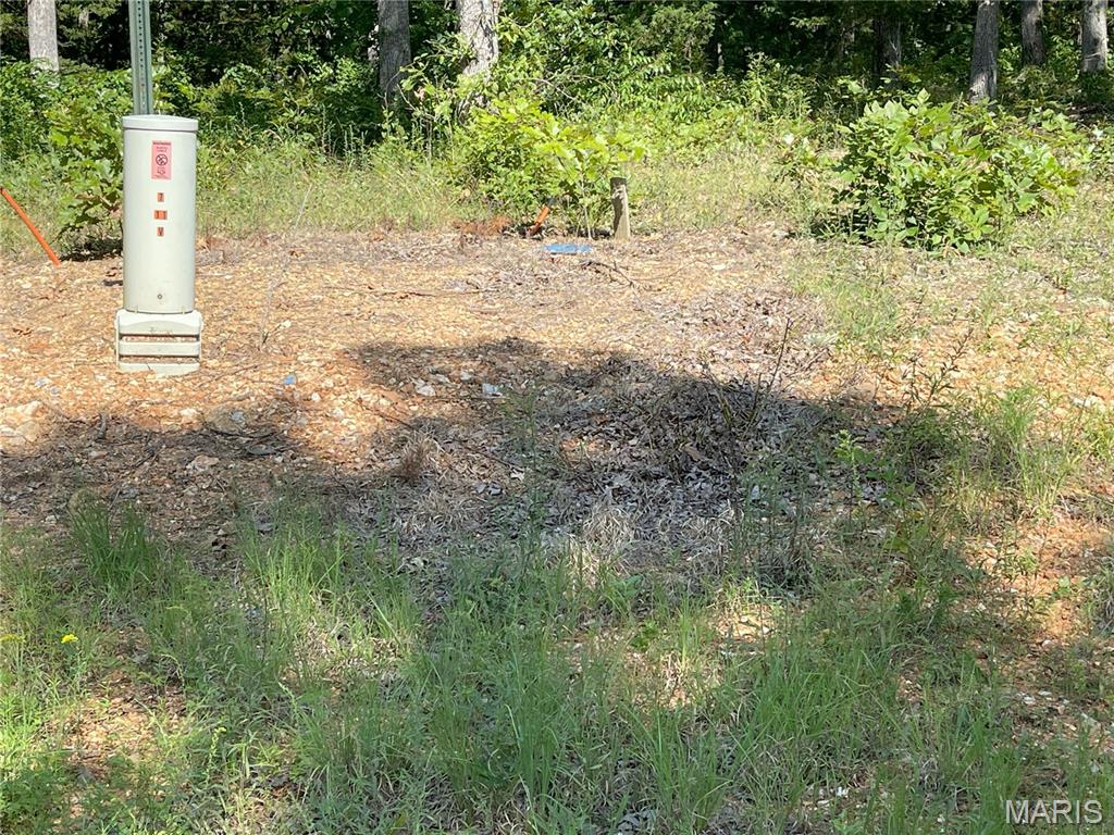 Tbd Forest View Property Photo 4