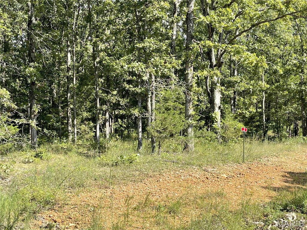 Tbd Forest View Property Photo 5