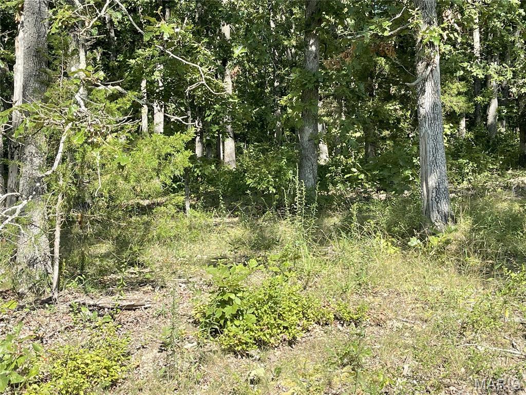 Tbd Forest View Property Photo 6