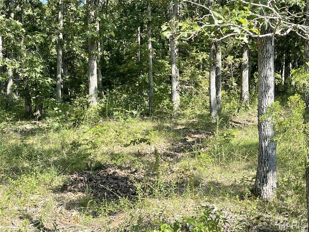 Tbd Forest View Property Photo 7