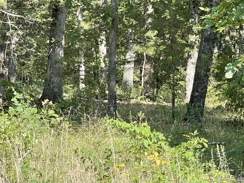 Tbd Forest View Property Photo 8
