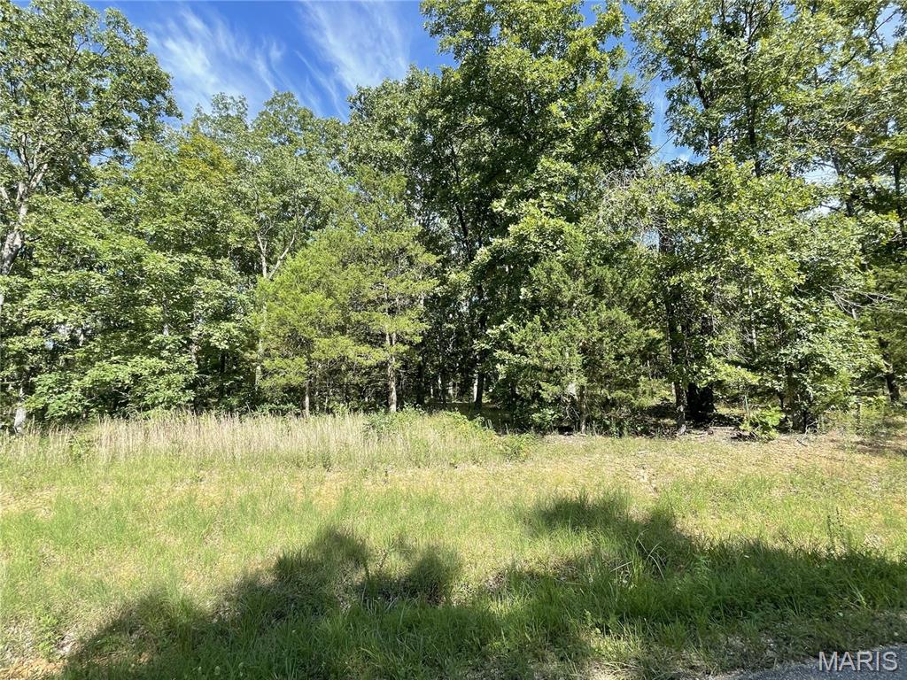 Tbd Forest View Property Photo 9